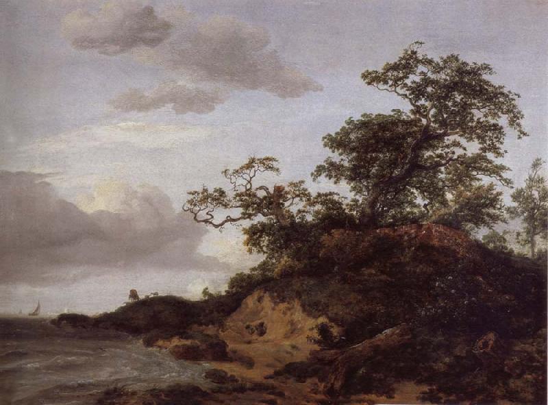 Jacob van Ruisdael Dunes by the sea oil painting image